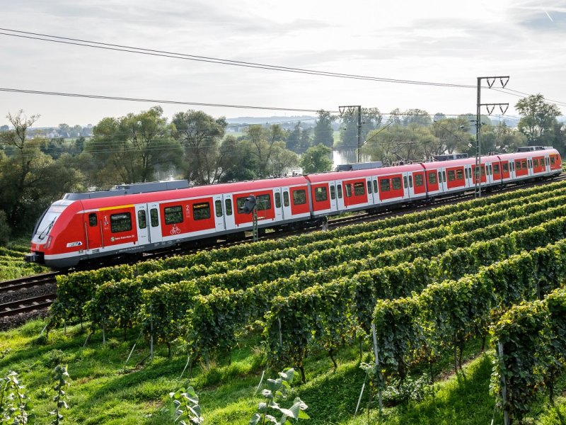 s-Bahn S1 RMV.jpg