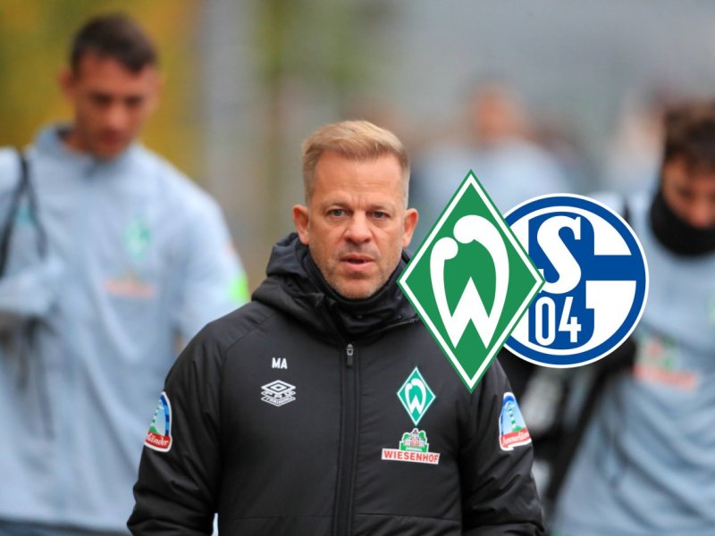 schalke-bremen-anfang.jpg