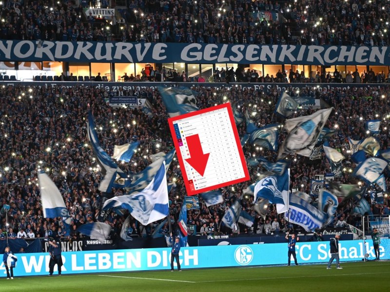 schalke-fans