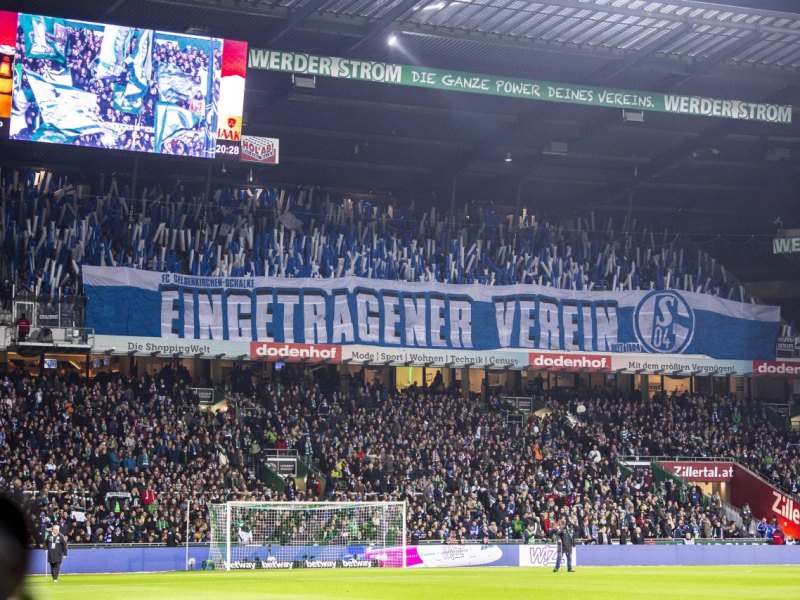 schalke-fans