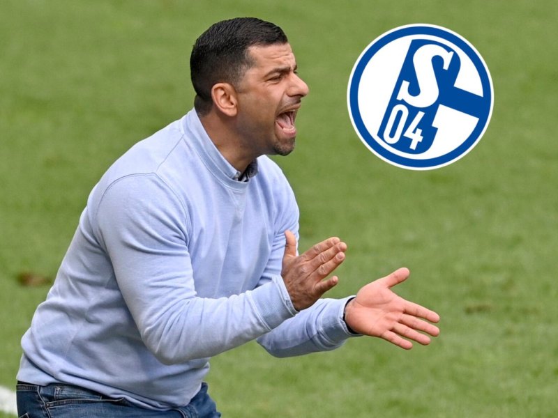 schalke-grammozis-hertha