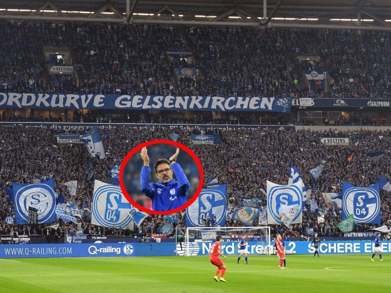 schalke-köln-wagner