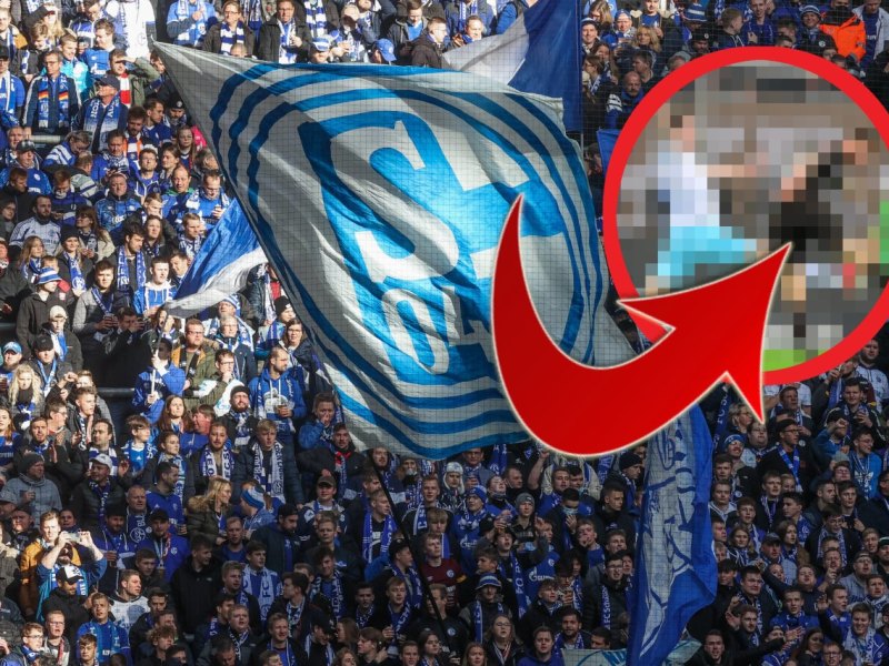 schalke-pauli-burgstaller