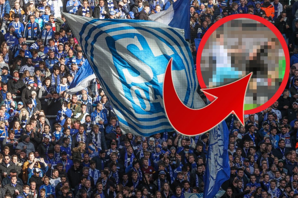 schalke-pauli-burgstaller