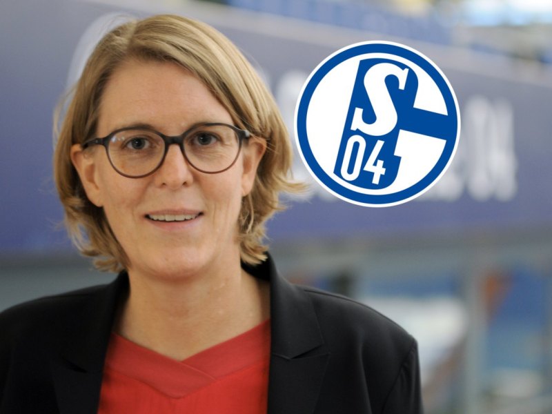 schalke-rühl-hamers