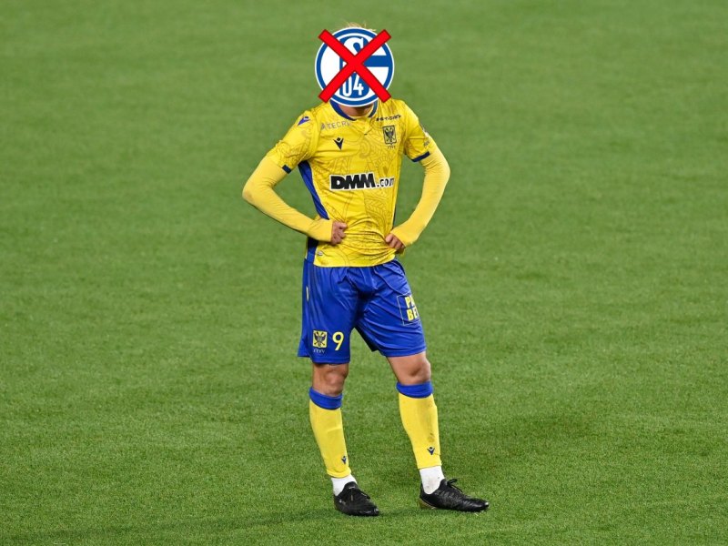 schalke-suzuki.jpg