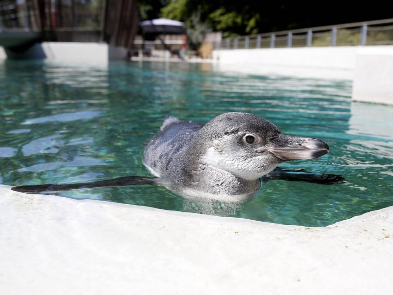 tierpark bochum 2.jpg
