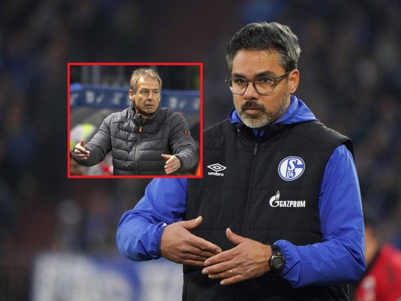 wagnerklinsmannfcschalke.jpg