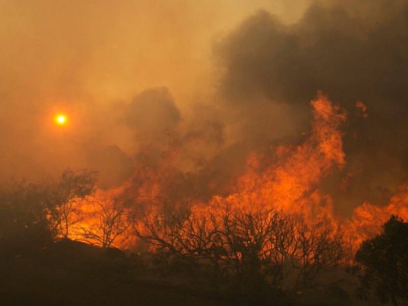 waldbrand kalifornien.jpg