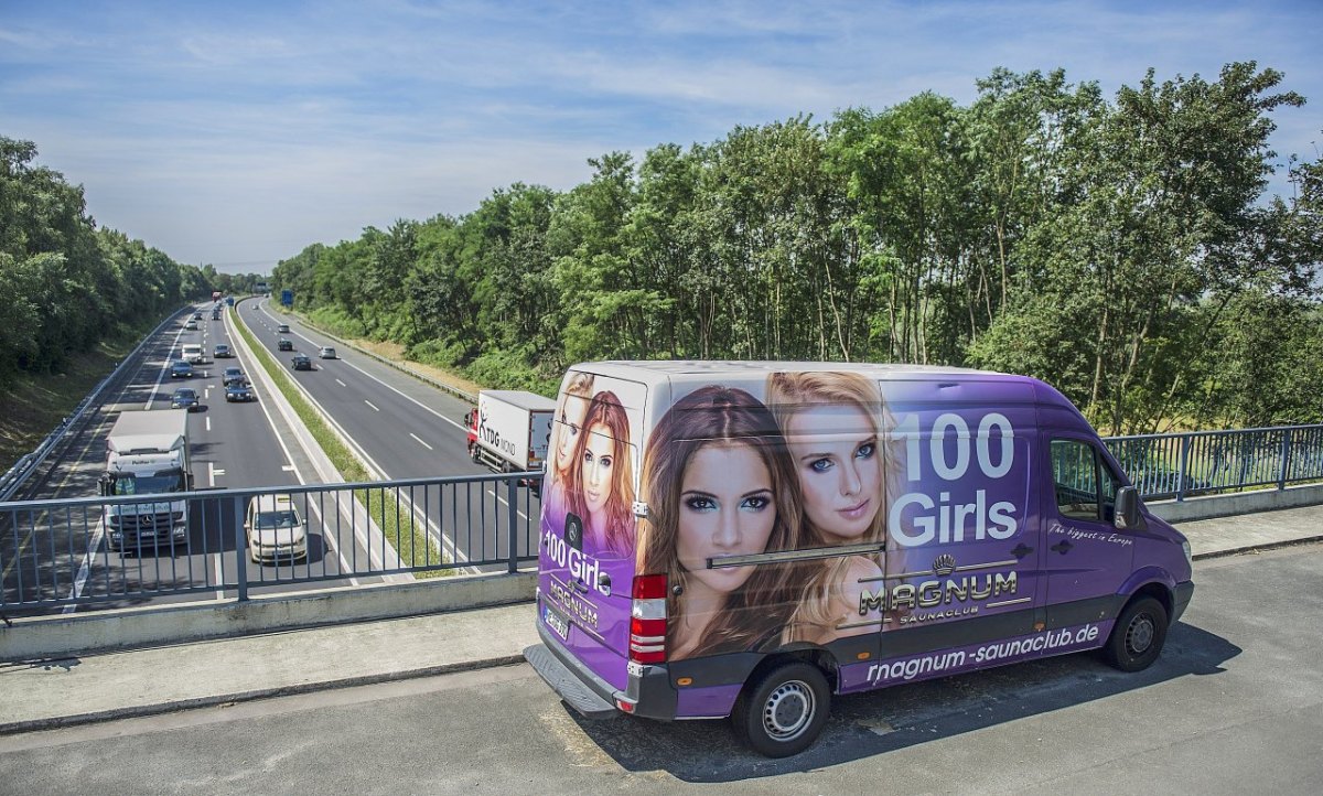 wilde Webung auf geparkten Fahrzeugen.jpg