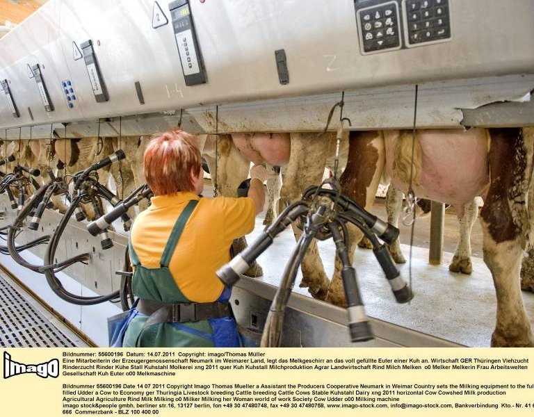 wwoofer landwirtschaft austausch bauern.jpg