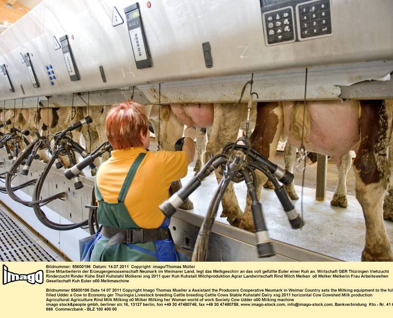 wwoofer landwirtschaft austausch bauern.jpg