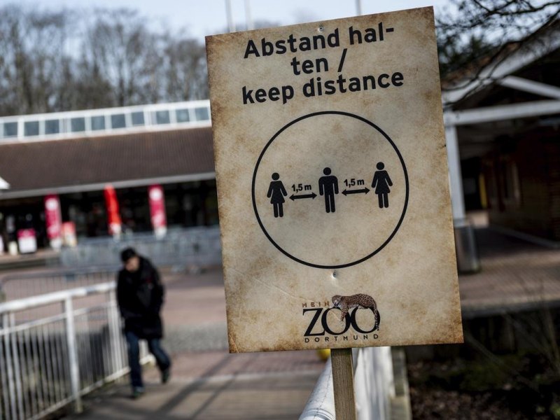 zoo dortmund erdmännchen.jpg