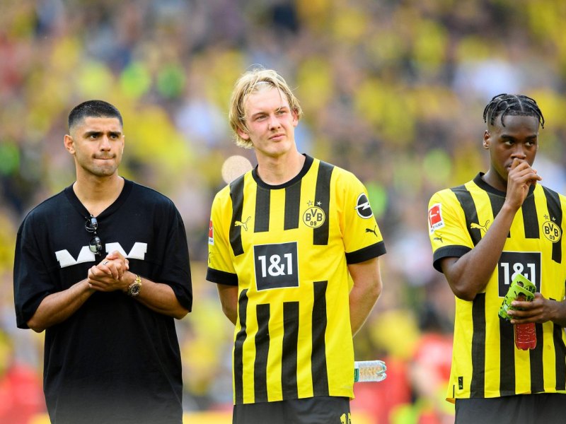BVB Dahoud