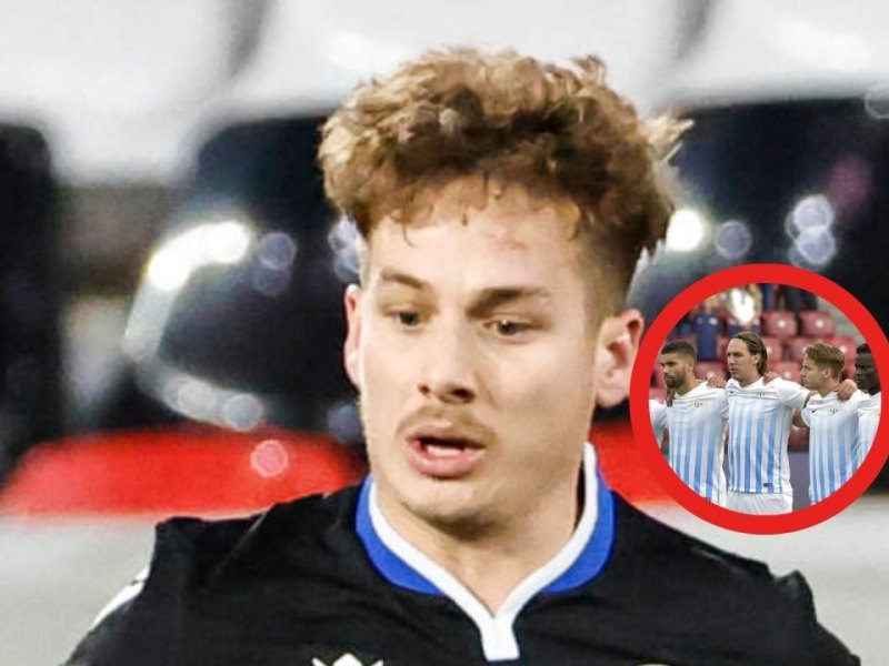 FC Schalke 04 Brunner.jpg