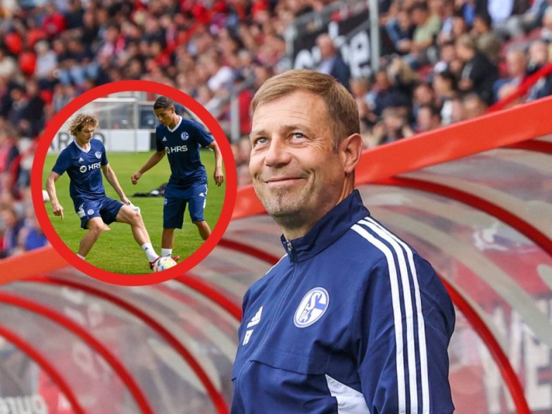 FC Schalke 04 Kral.jpg