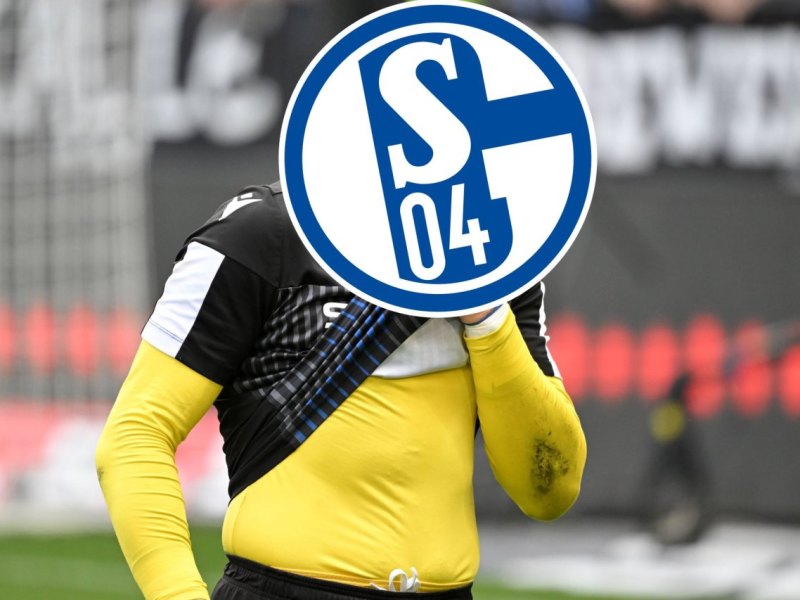 FC Schalke 04 Ortega.jpg