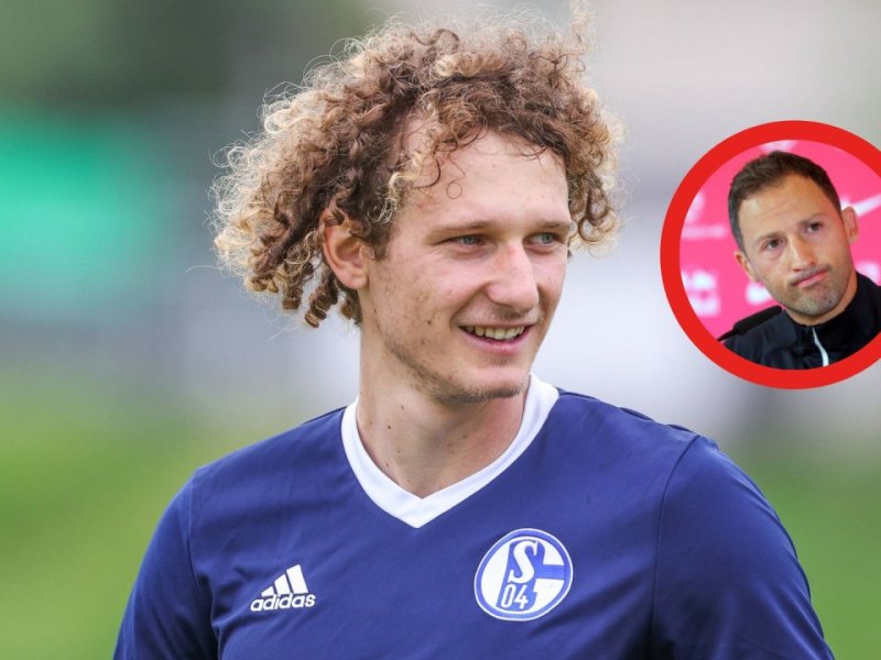 FC Schalke 04 Tedesco.jpg