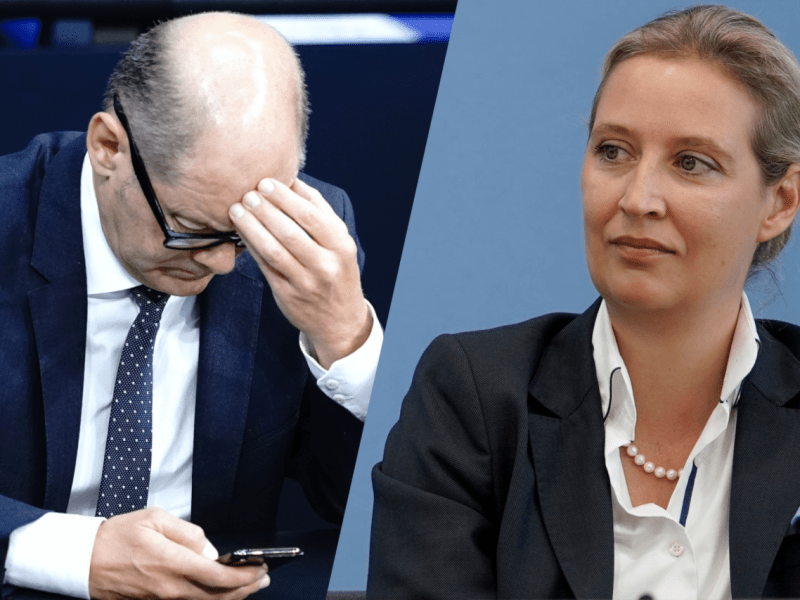 Weidel Scholz