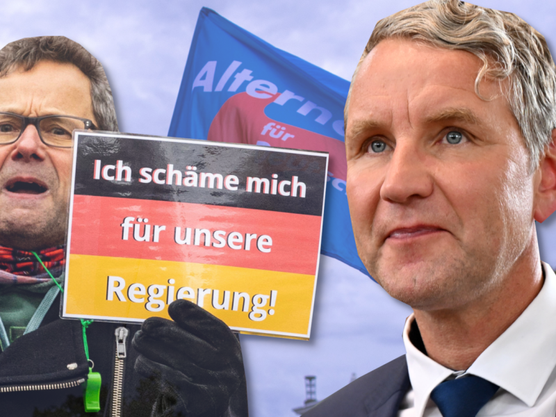 AfD Höcke AfD
