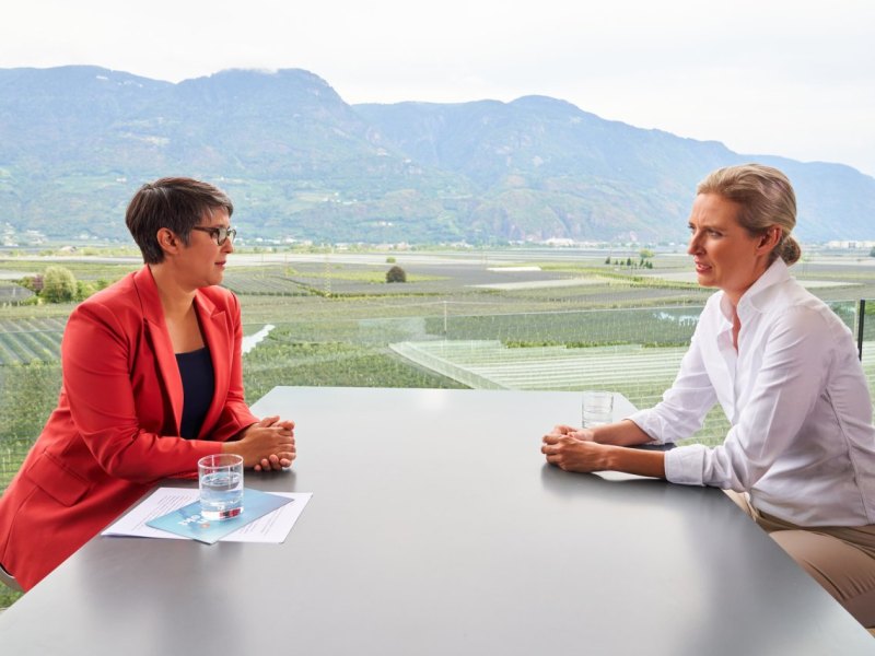 Alice Weidel Afd Sommerinterview