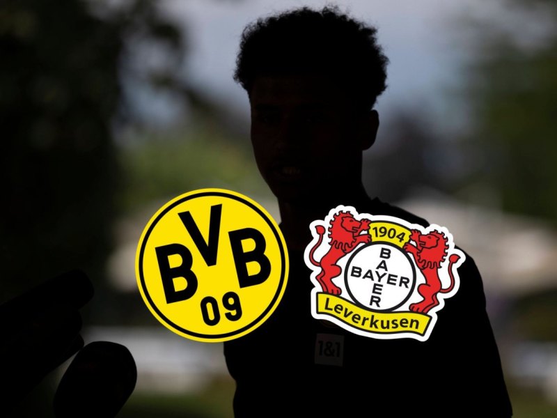 BVB Leverkusen Adeyemi.jpg