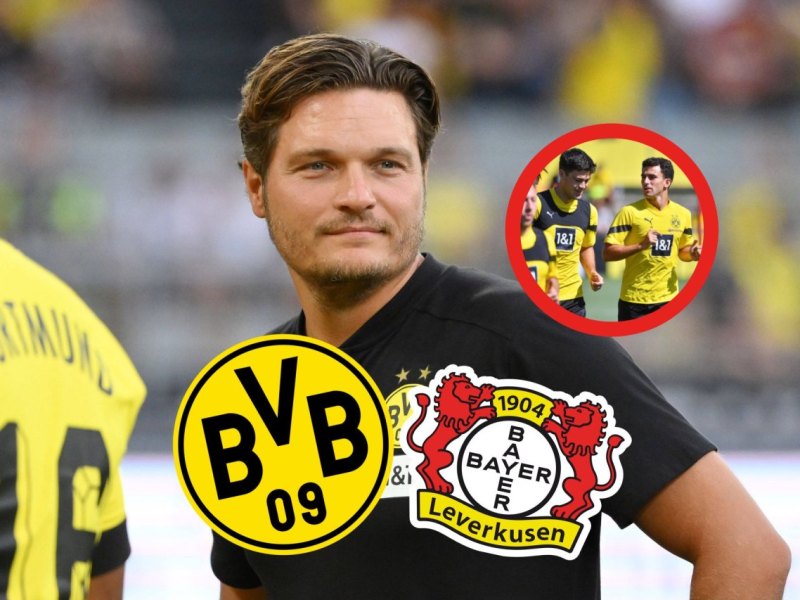 BVB Leverkusen.jpg