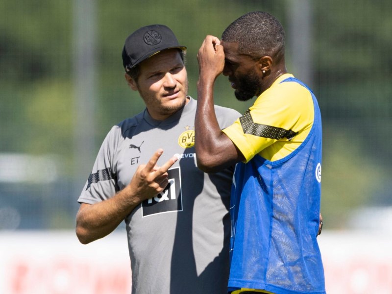 BVB Modeste