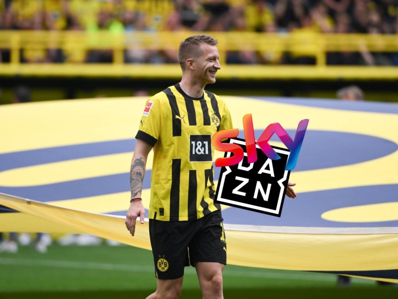 BVB im Livestream.jpg