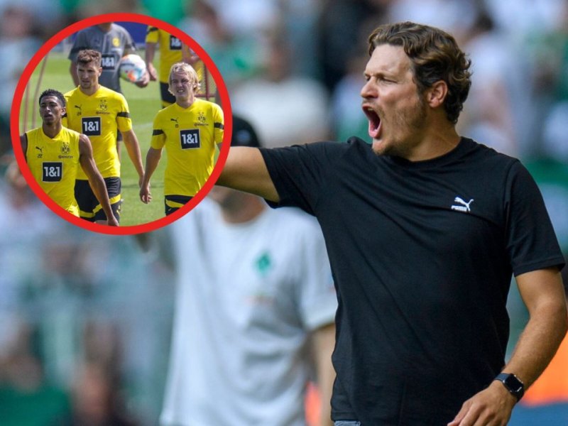 BVB terzic meunier.jpg