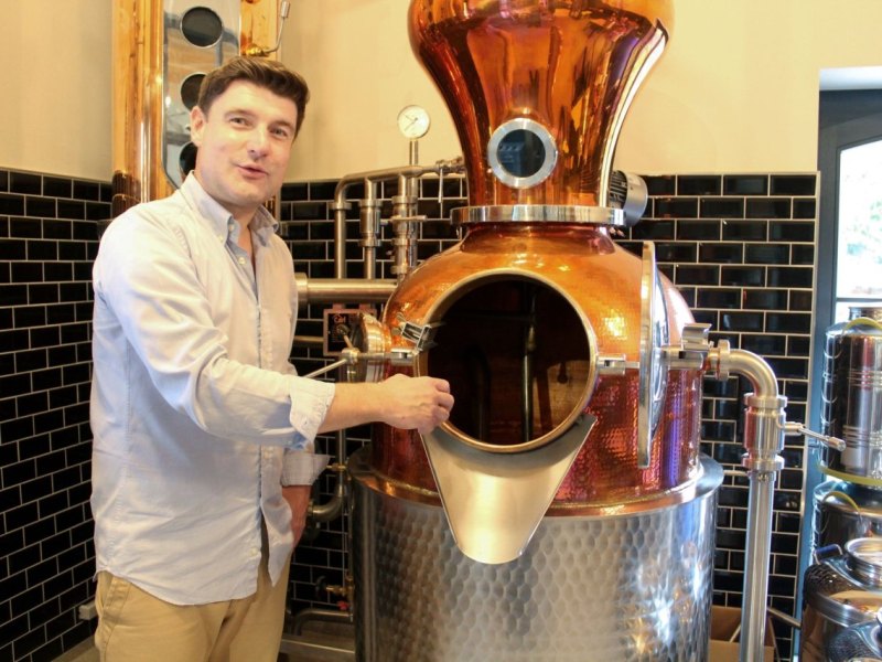 Brombeeren, Haferstroh oder Gänseblümchen