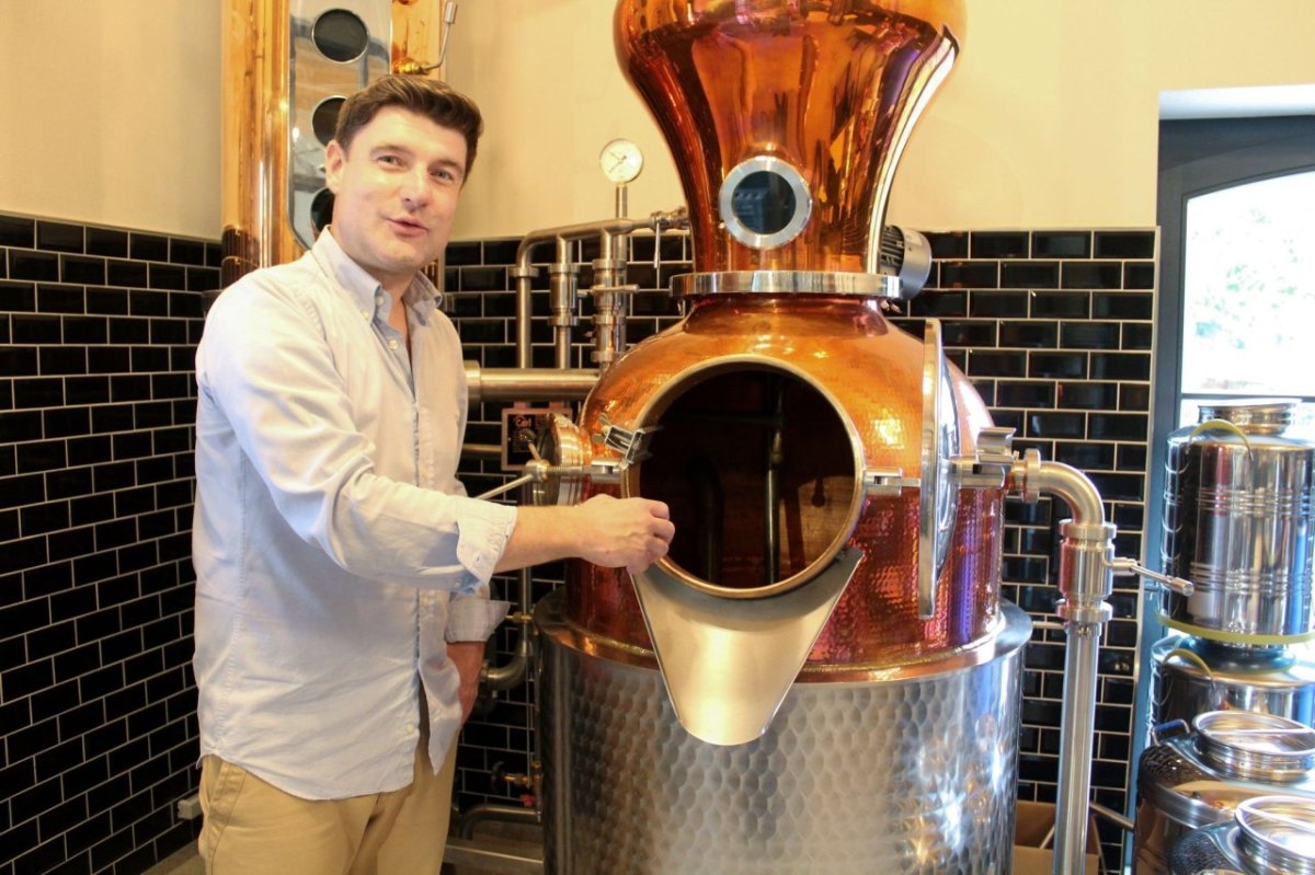 Brombeeren, Haferstroh oder Gänseblümchen