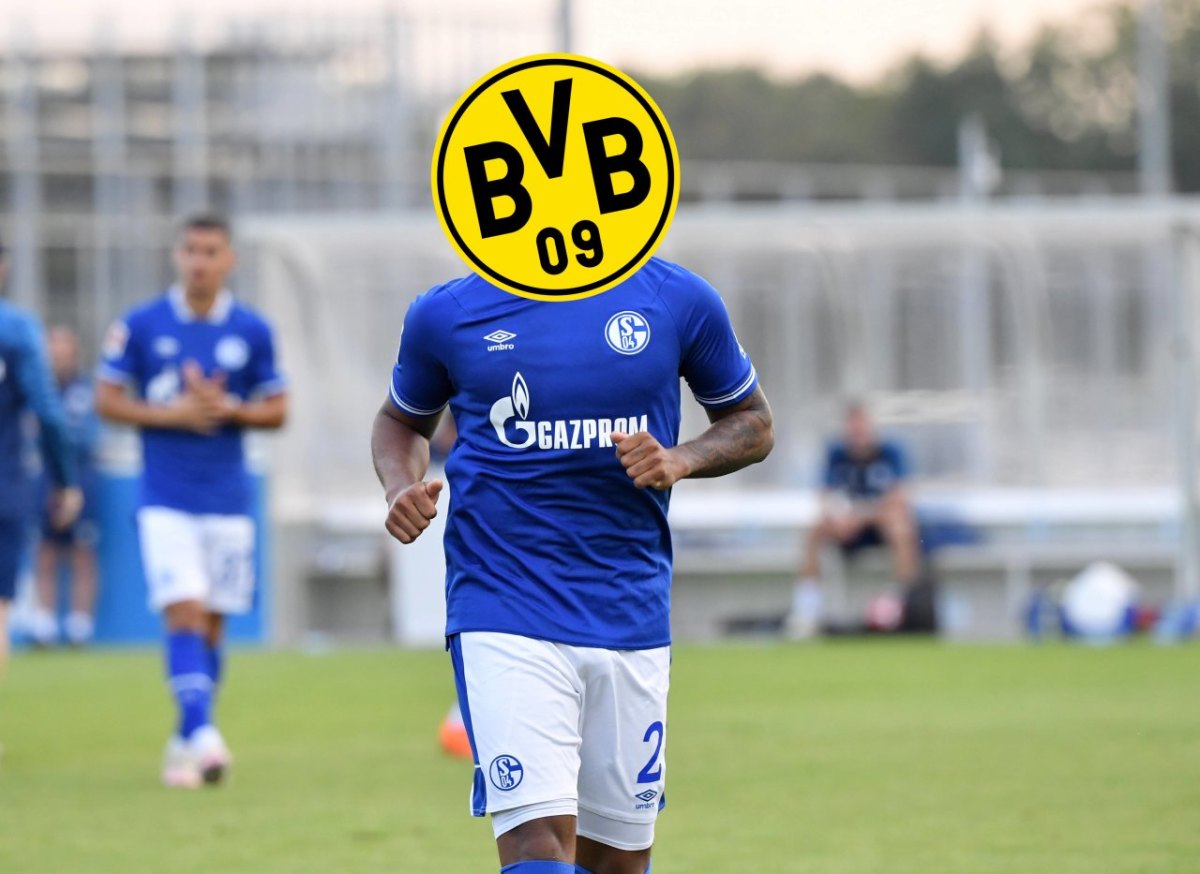FC Schalke 04 McKennie BVB.jpg