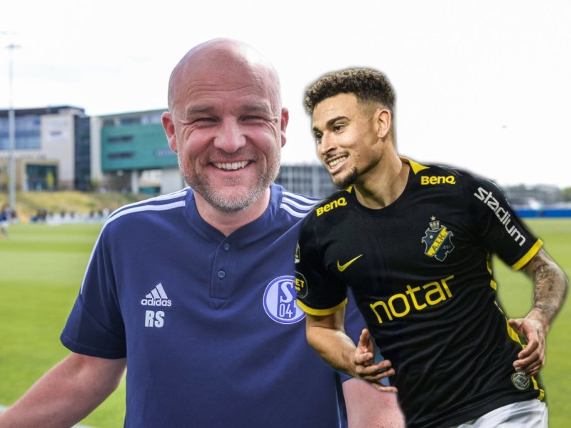 FC Schalke 04 Schröder Larsson.jpg