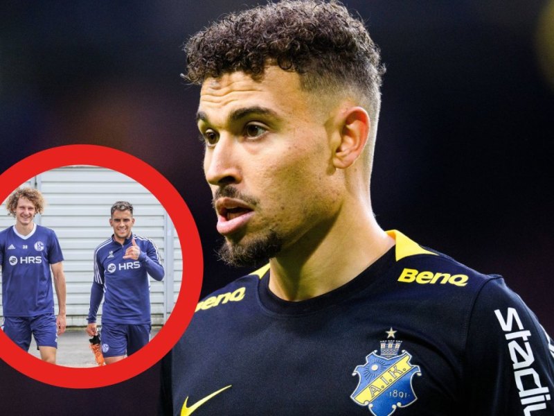 FCSchalke 04 Larsson.jpg