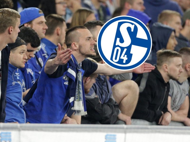 Schalke Gladbach Fans.jpg