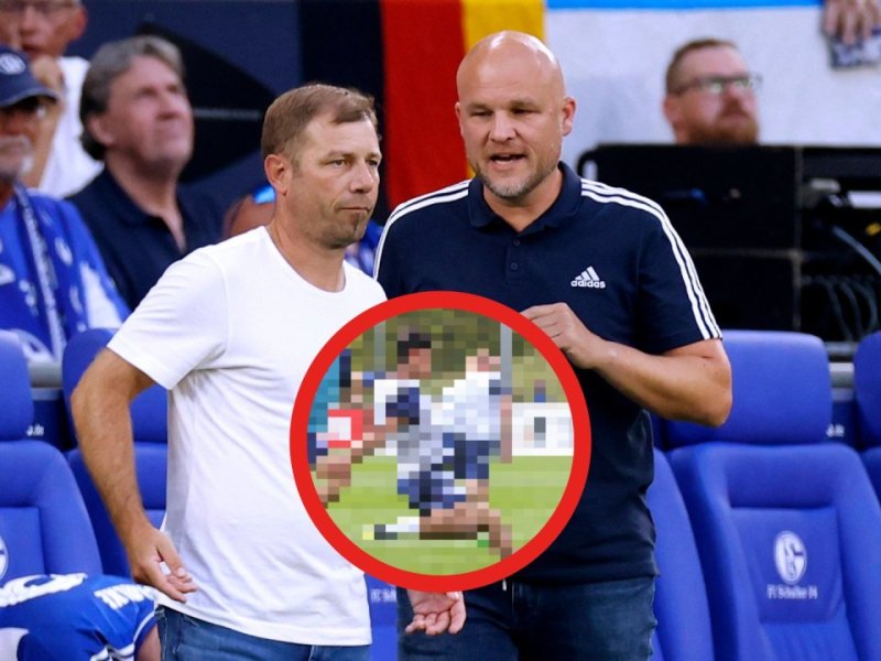Schalke Greiml.jpg