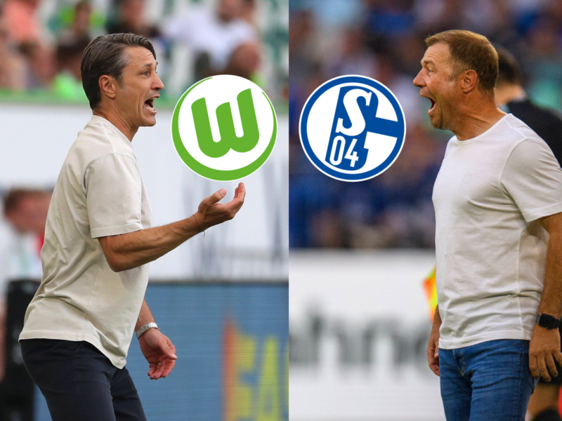 Wolfsburg Schalke  (1).png