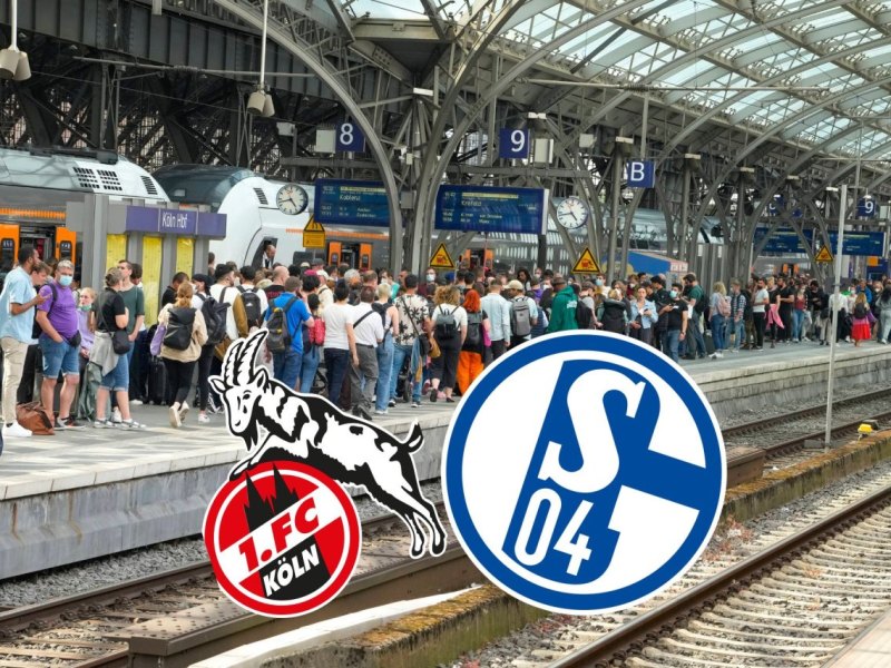 köln schalke.jpg