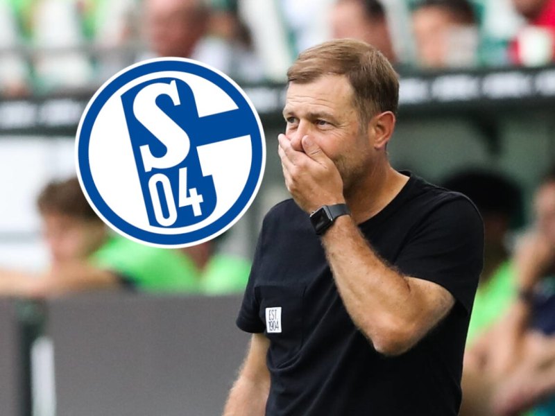 schalke-kramer.jpg