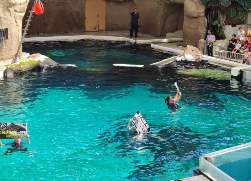 zoo-duisburg-aktivisten-delfinshow.JPG