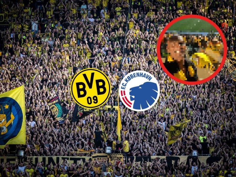 BVB Haller.jpg