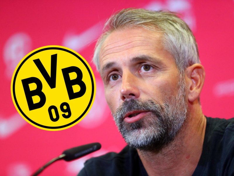 Borussia Dortmund Marco Rose.jpg