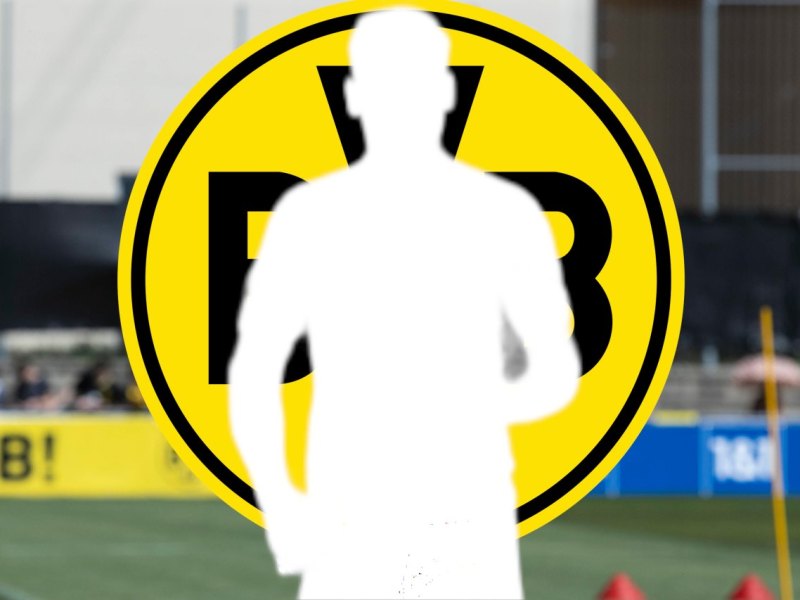 Leipzig Dortmund Lotka.jpg