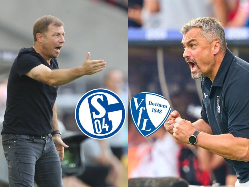 Schalke Bochum (1).jpg