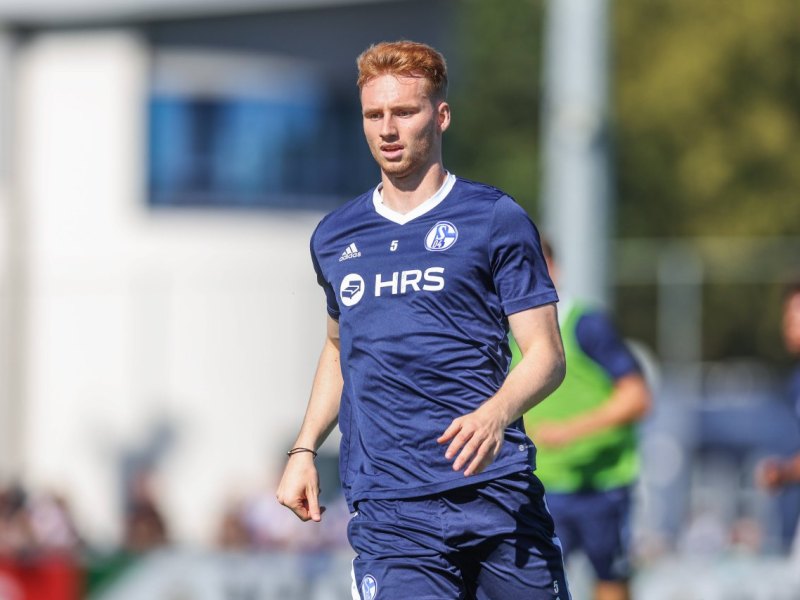 Schalke Van den Berg.jpg