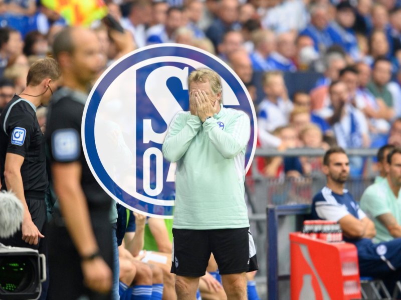 schalke-mike-bueskens.jpg
