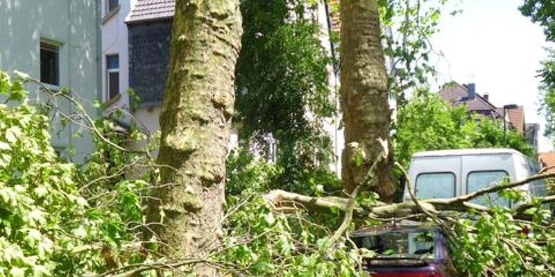 Die Folgen des Unwetters.jpg