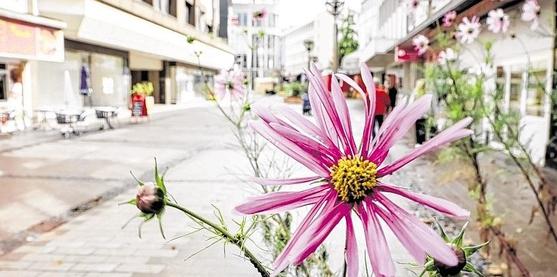 Duisburg - Einkaufstraßen im Niedergang-knIG--656x240@DERWESTEN.jpg