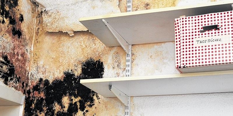 Gelsenkirchen Wohnung Schimmel --656x240.jpg